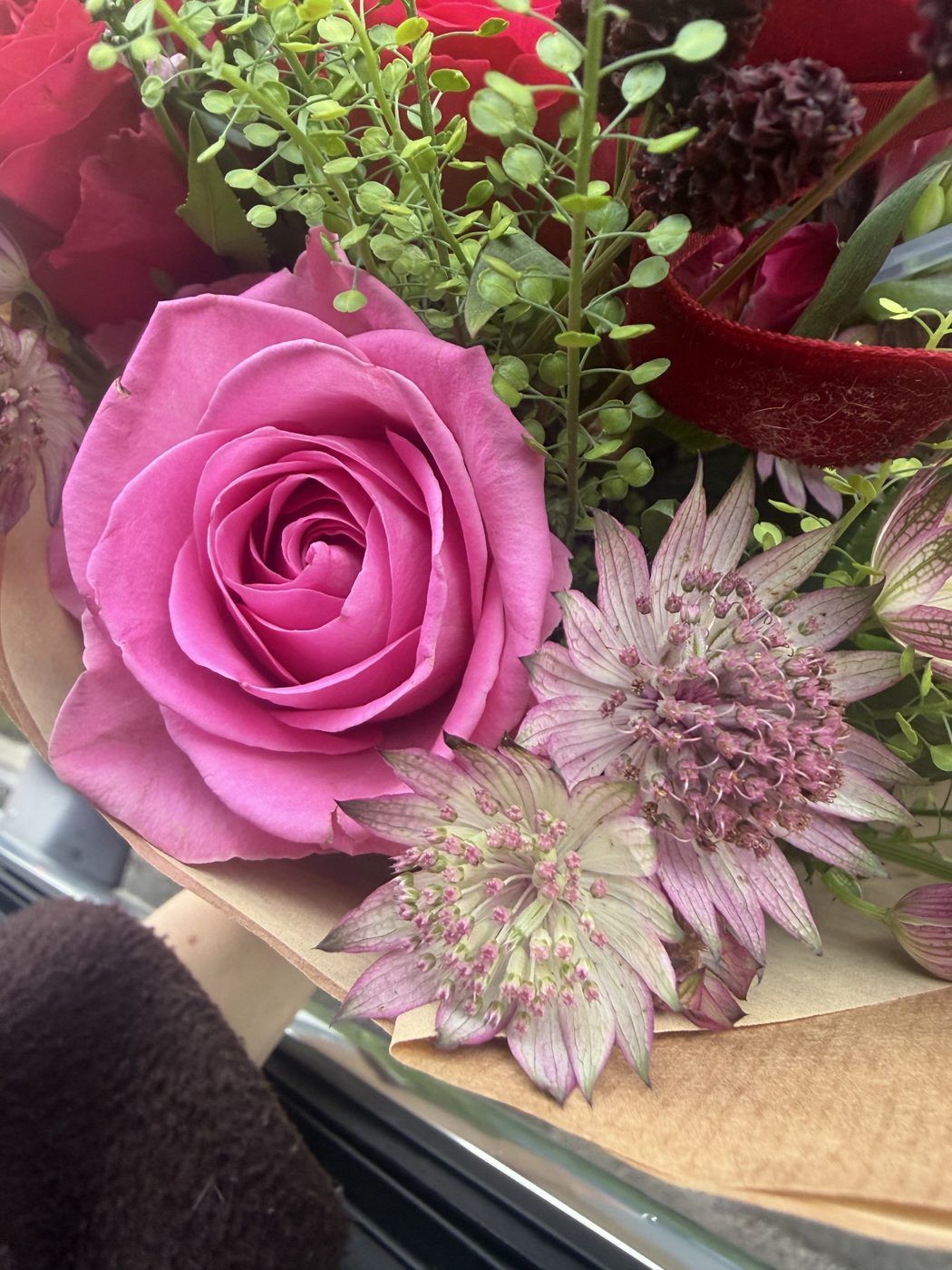 Close-up of a pink rose and astrantia